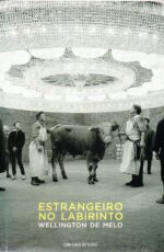 Estrangeiro no labirinto